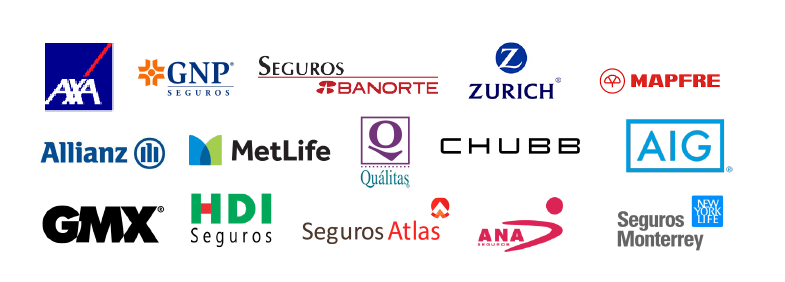 Head Hunting en México